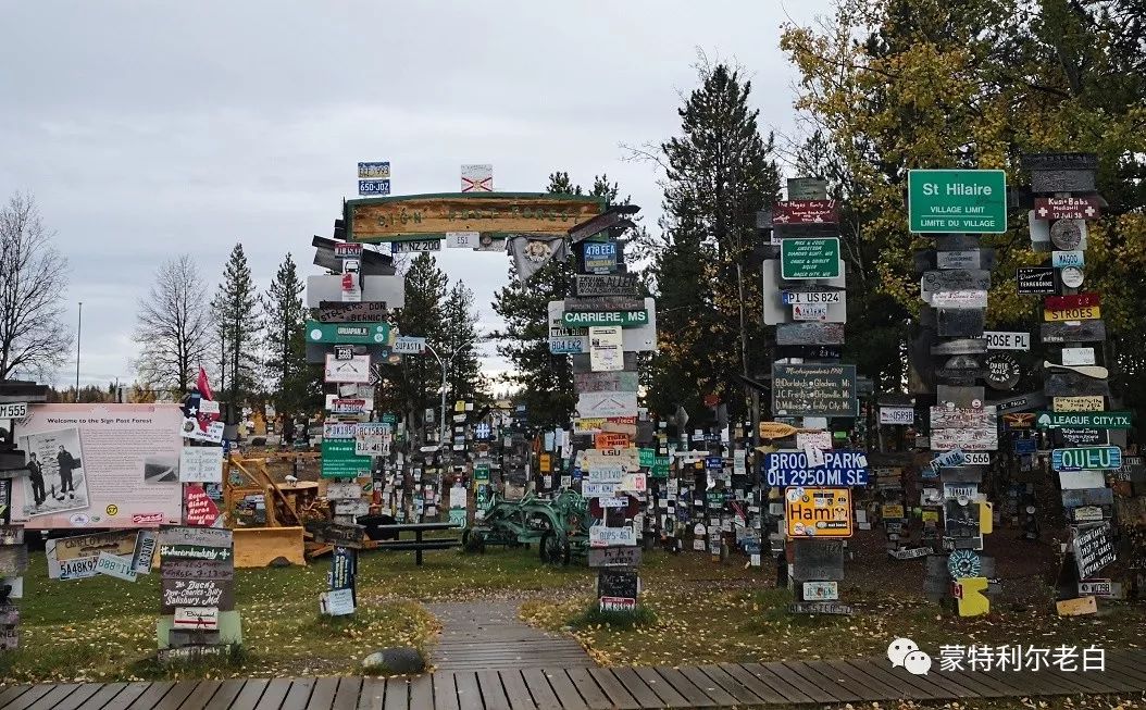 跟着老白行走加拿大，育空Watson Lake、BC省Northern Rockies