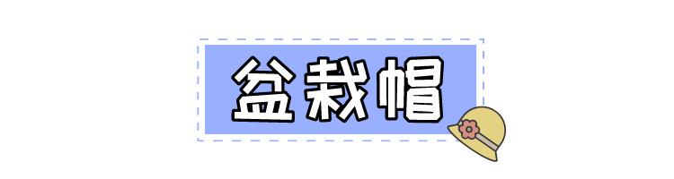 防晒好看的适合春天戴的帽子,夏日必备帽子防晒遮阳显脸小