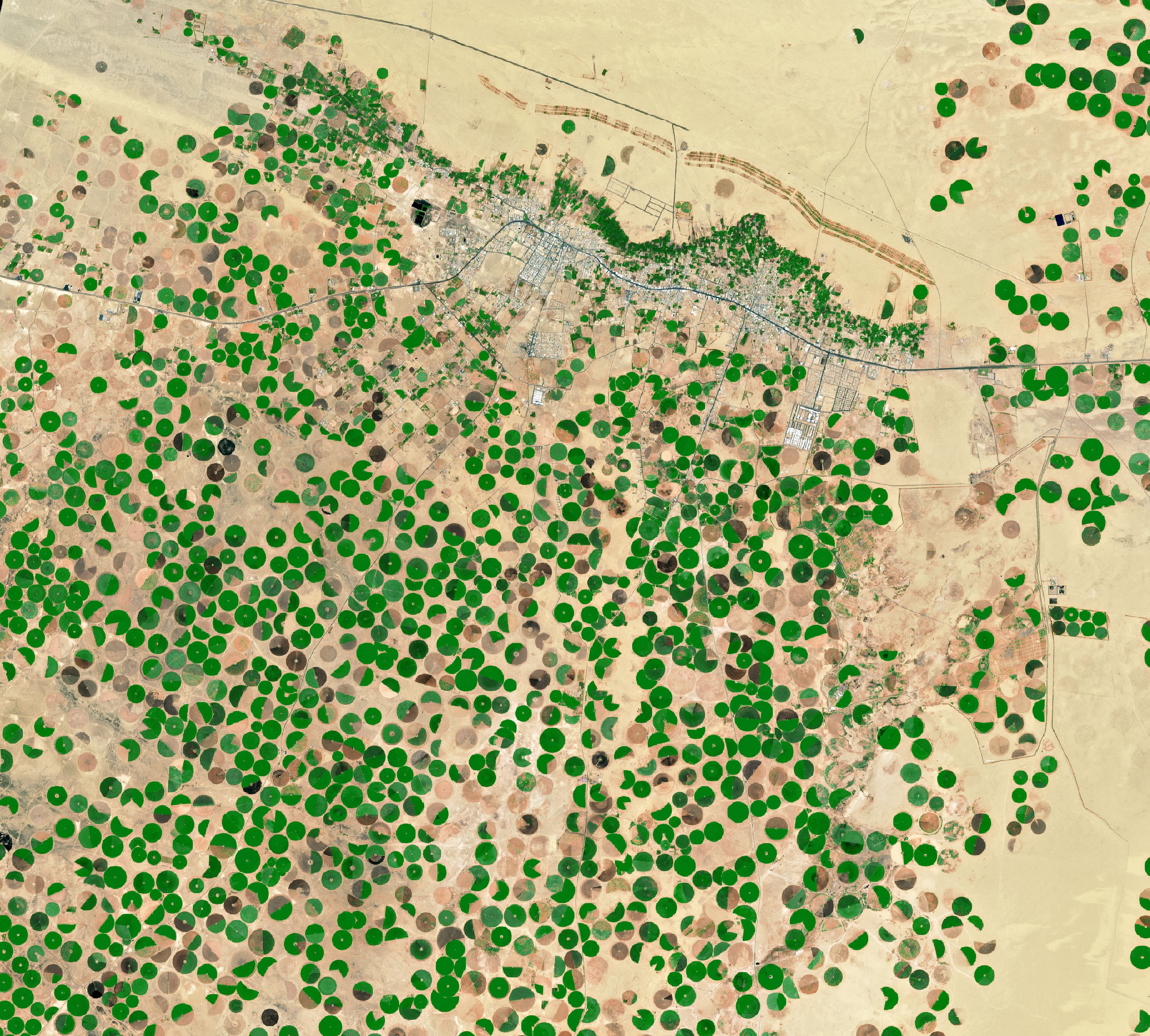 沙特阿拉伯小麦,沙特阿拉伯降水量