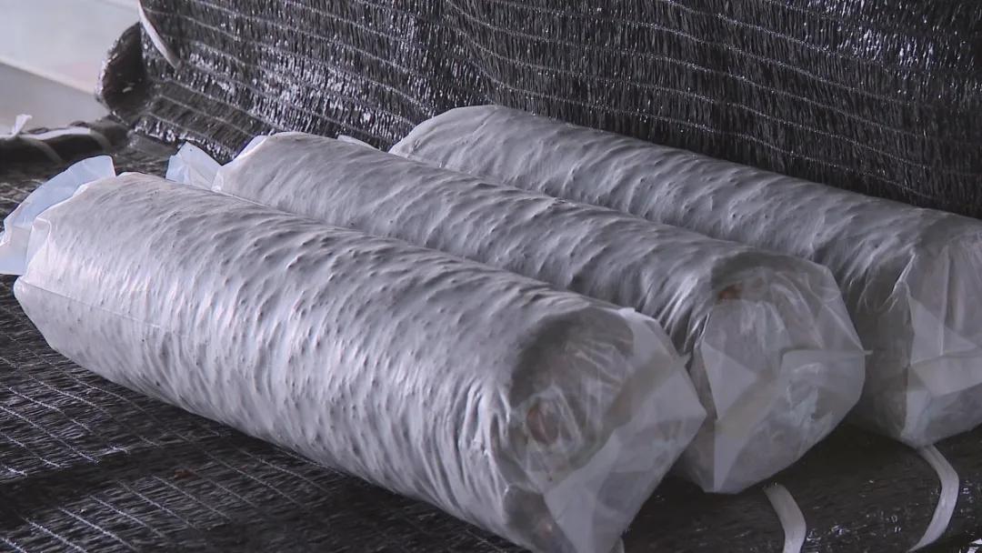 德祥农业种植开发,德祥农业大项目