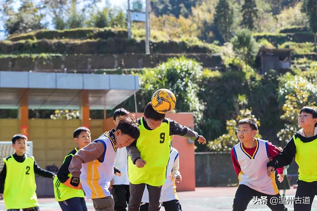 语文老师当排球教练,语文老师当体育老师