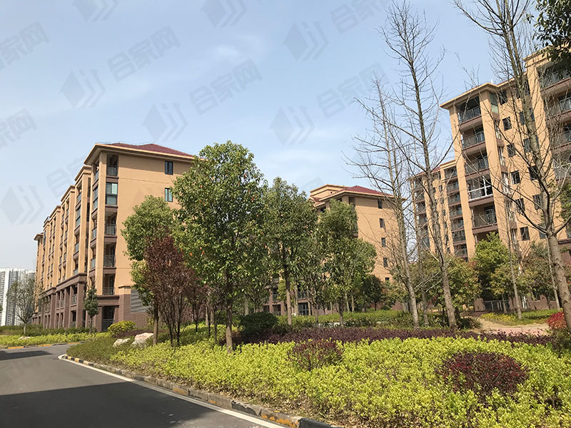 实探楼盘园林实景,山水如画宜昌楼盘周边规划