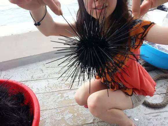 海鲜大全,最全海鲜冷知识