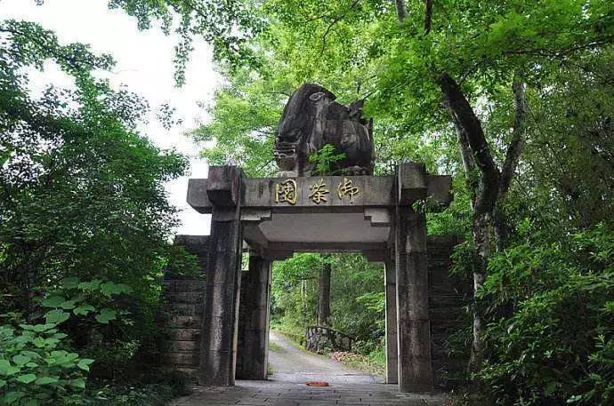 说茶武夷岩茶的山场划分,说茶武夷水仙