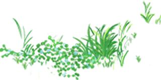 定边县东关小学足球队比赛视频,榆林市定边县第三中学足球联赛