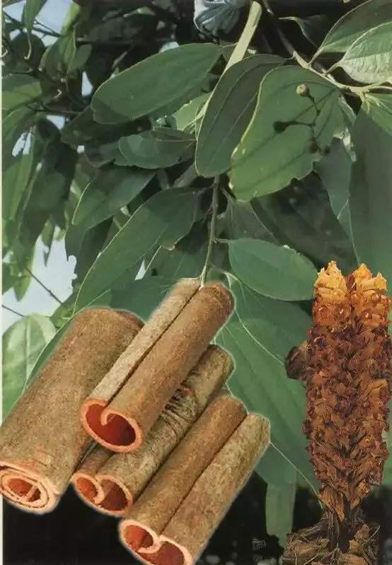 各种香料的属性与搭配,各种香料调料的配方共十八种