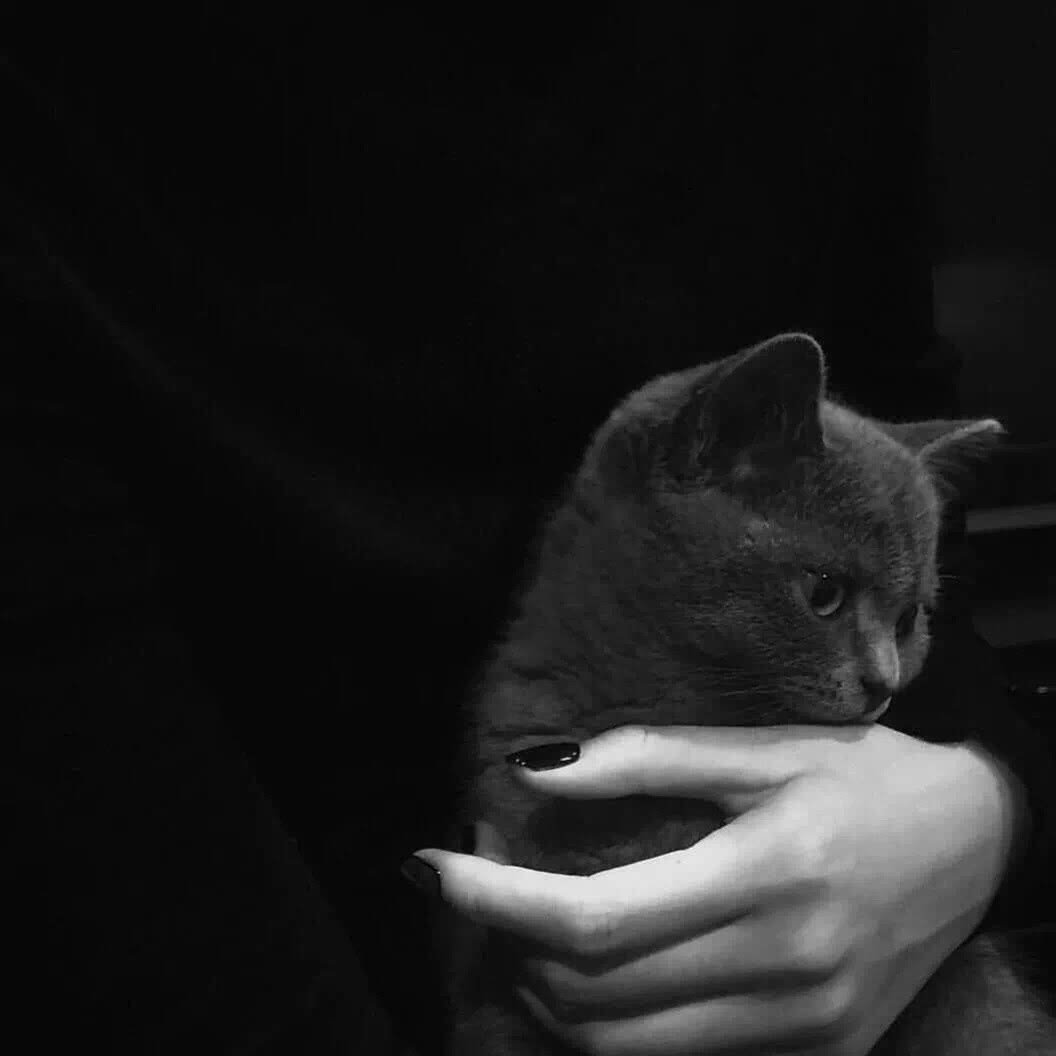 背景图黑暗系女,背景图黑暗系高级感