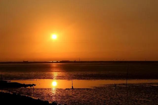 上海的大海现在成什么样了,上海的大海有船吗