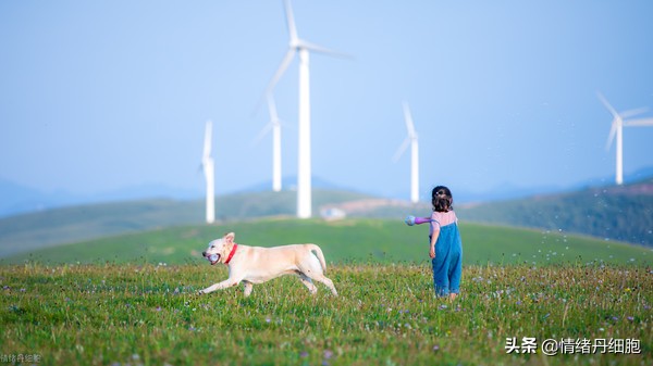 门头沟避暑景点推荐,柳树沟自然风景区旅游攻略