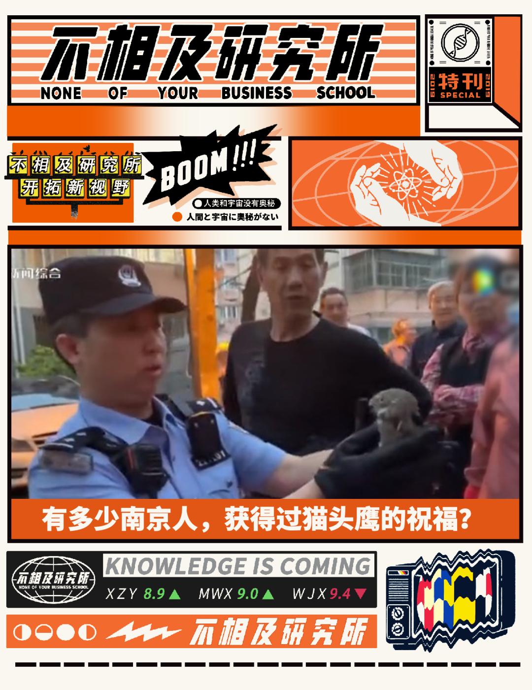 有多少南京人，获得过猫头鹰的祝福