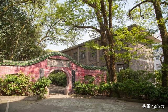 佳能24-105mm评测,佳能24-105适合拍摄的场景