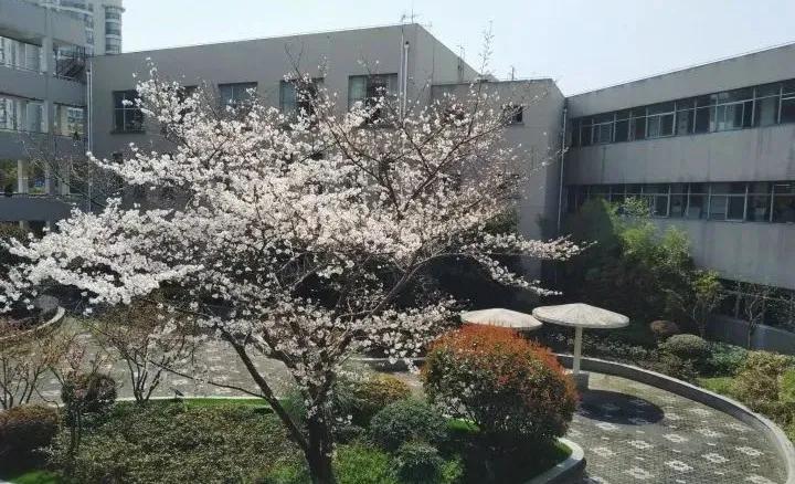 2022年上海高考升学率排名,上海位育中学