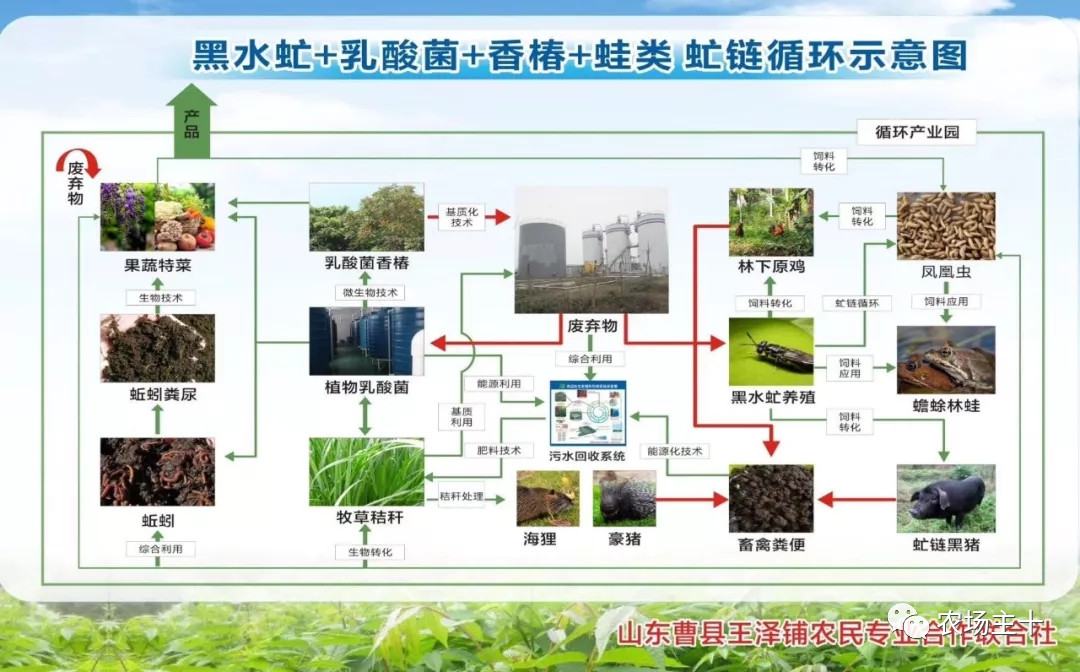 从乞丐到身价200万仅用一年时间,从乞讨到名相的传奇人生