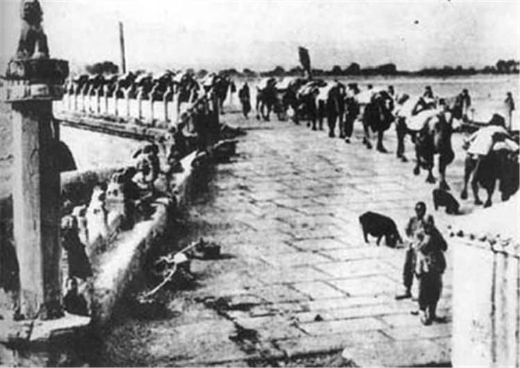 双枪老太婆结局如何？周总理希望刀下留人，毛主席嘱托善待其家属