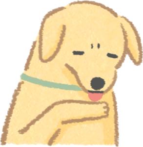 养狗10年才知道狗狗的3种居家检查,养狗的10大疾病解决方法