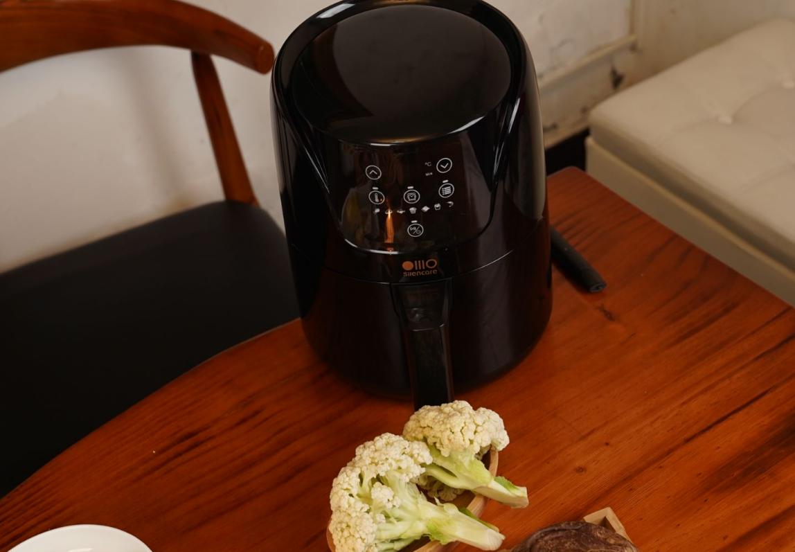 九阳空气炸锅kl55-vf531测评,空气炸锅什么样的好用测评