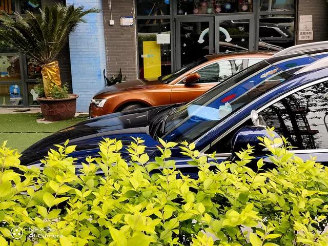 nex3s无界瀑布屏让眼界全面升级,nex3s5g版拍照评测