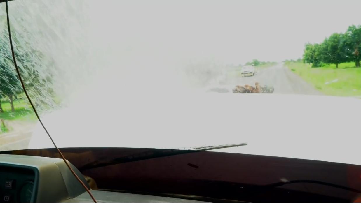 非洲小哥淘来法国二手车开出租，280公里只要47元，但要开12小时