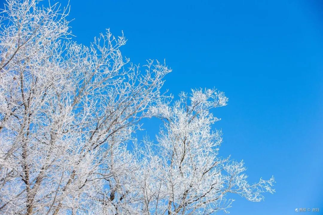 国内这7个绝美雪景地,看到第一个我就想去了!
