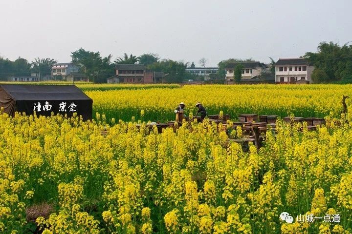 重庆潼南哪些好玩的地方,重庆潼南周边好玩的地方