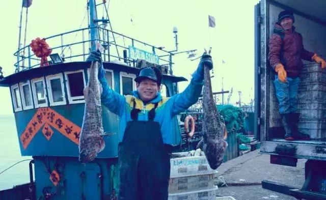 海边海鲜烧烤青岛,啤酒烧烤推荐城市