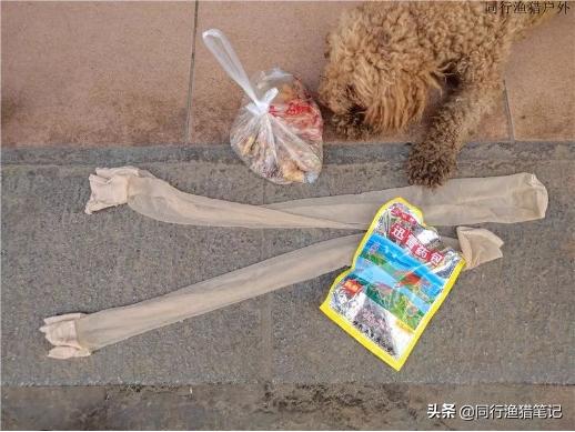 如何在鱼塘里钓龙虾,钓不到鱼鱼在水面游