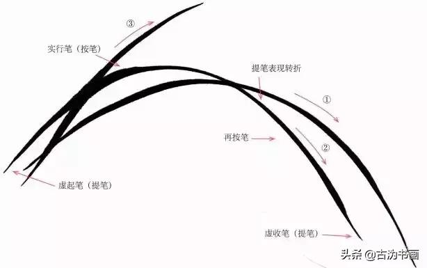 徐湛国画兰花技法教学,国画兰花入门技法