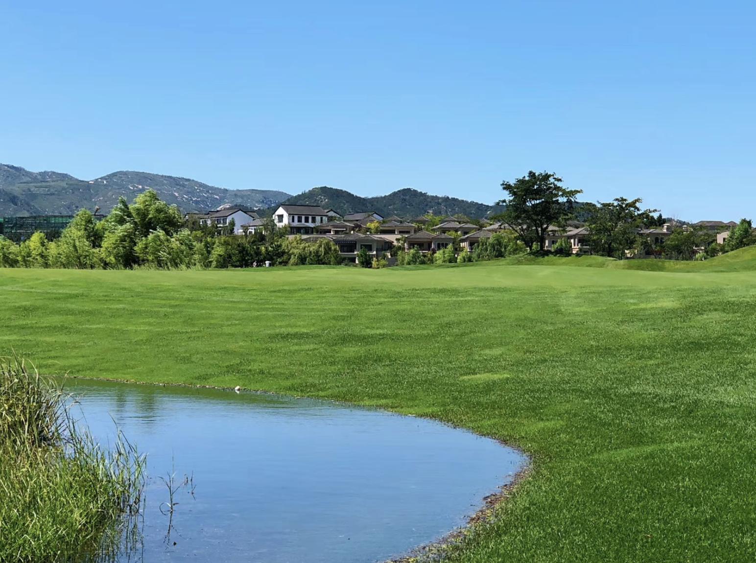 一个雪野湖别墅业主的置业奋斗史:曾经租住城中村,400万买的别墅,最后成了废墟