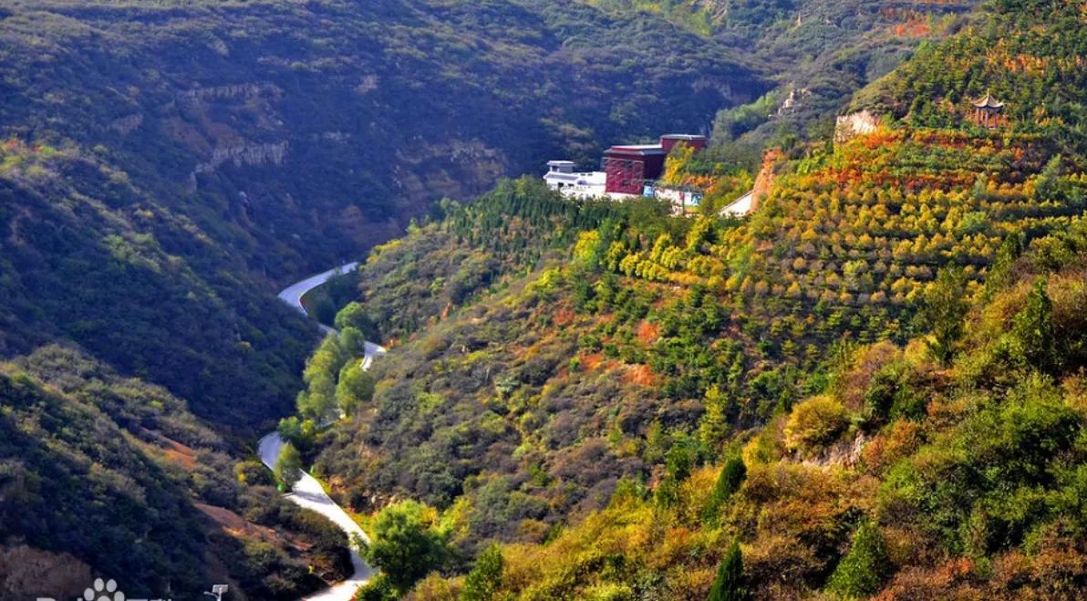 公园里的房子有哪些好处,公园里面的房子有何优缺点