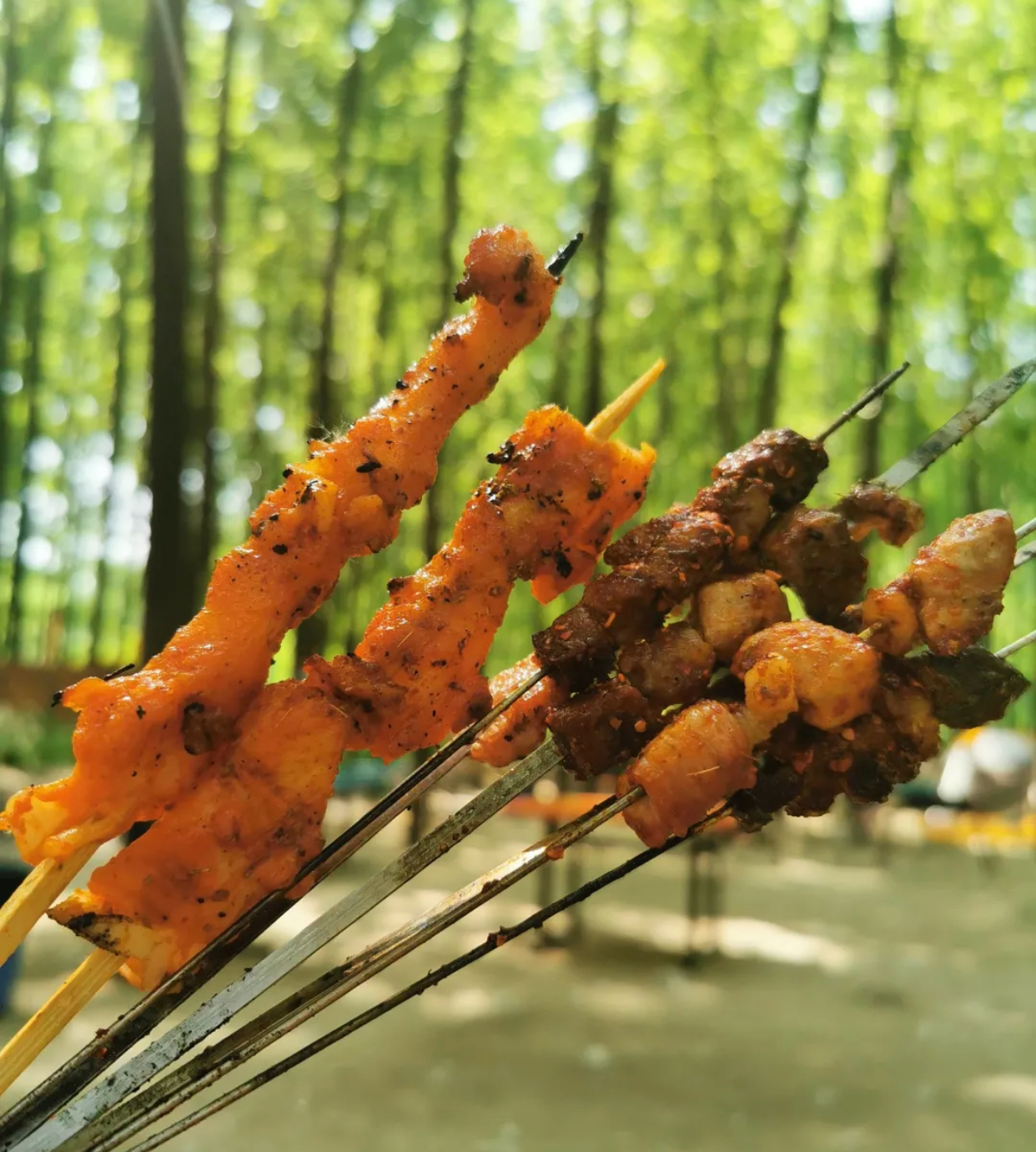 秦岭自带食材烧烤的地方,秦岭附近可以烧烤的地方