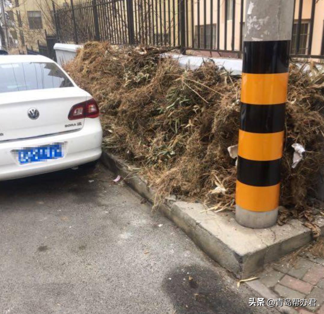 青岛浙江路违法停车,在青岛湖南路违章停车怎么处理