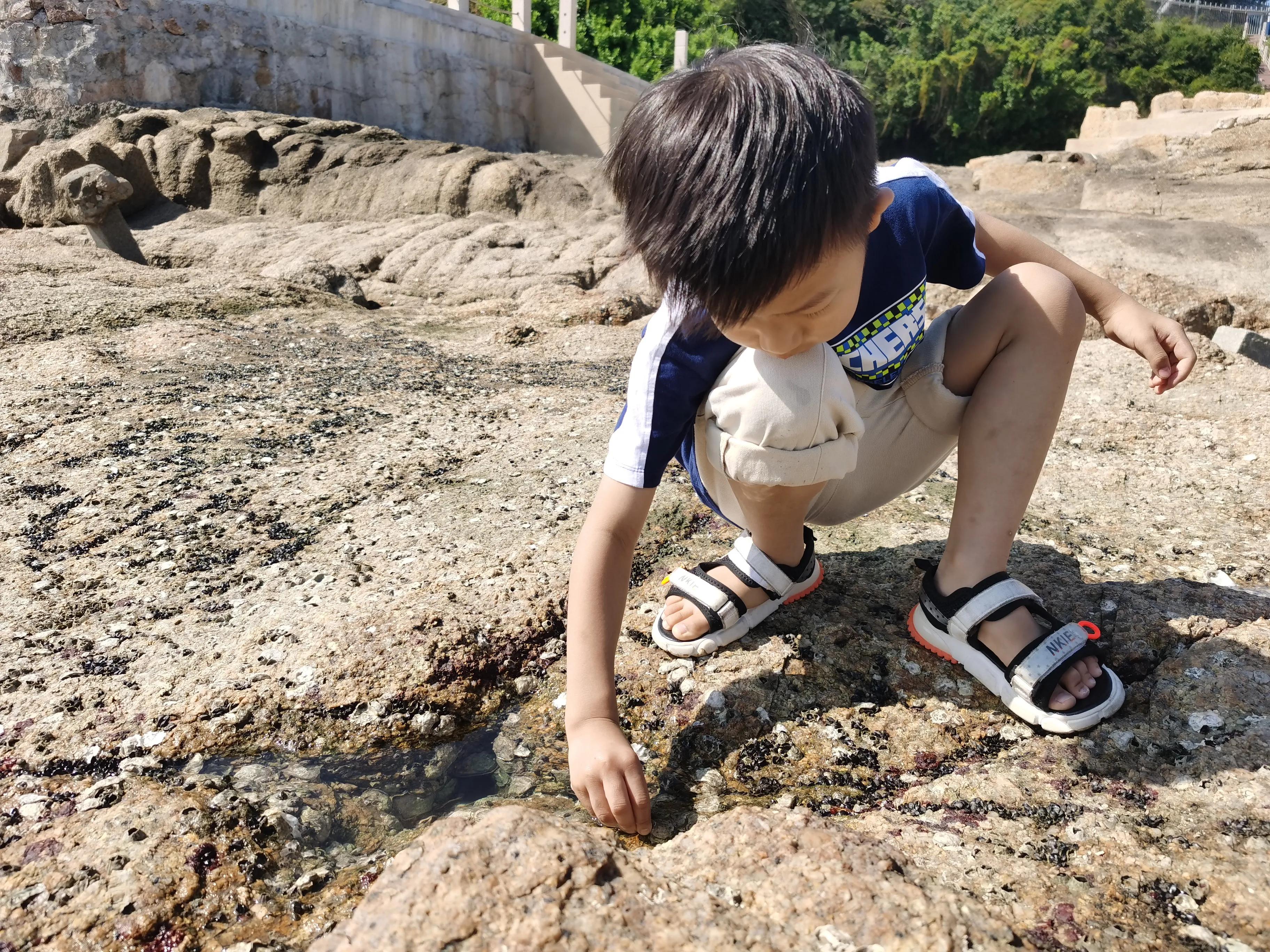 珠海偏僻人少的赶海地,珠海沙滩晚上露营赶海最佳地方