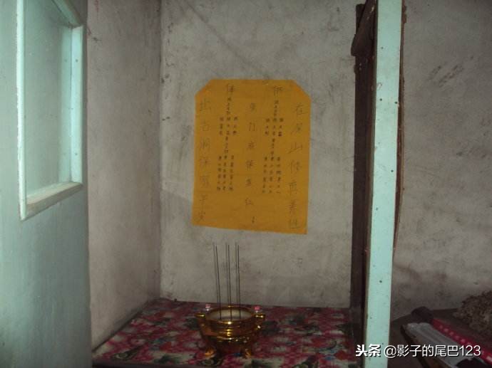 五种灵性动物之狐狸,东北五大灵性动物