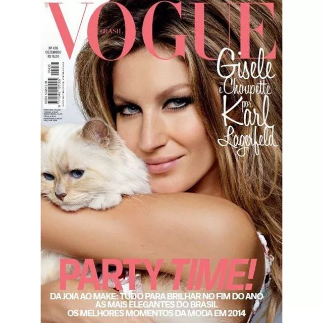 21亿遗产的猫现在怎么样了,失踪多年的猫终于回来了