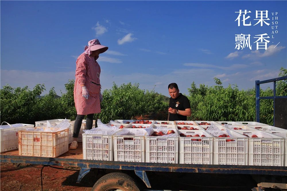 果园防雹网一亩地要多少钱,果园防雹网支架安装尺寸