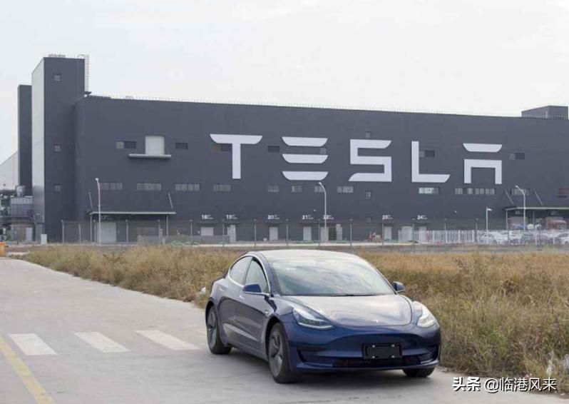 南汇泥城的发展前景,浦东新区南汇区泥城镇