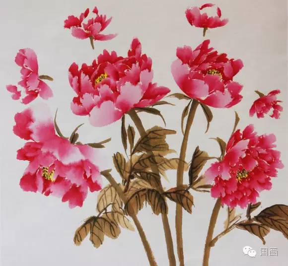 张克申写意牡丹画法教程,邵丹写意牡丹各阶段画法