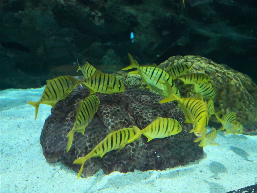 北京工体富国海底世界周一营业,北京工体富国海底世界旅馆