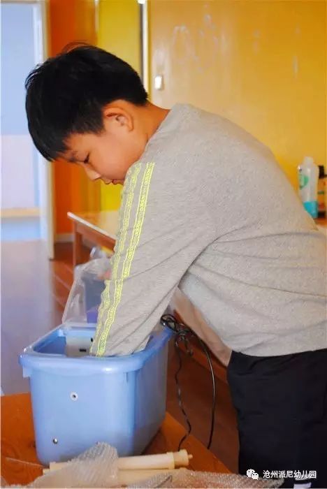 生命教育孵蛋,生命教育课程孵小鸡