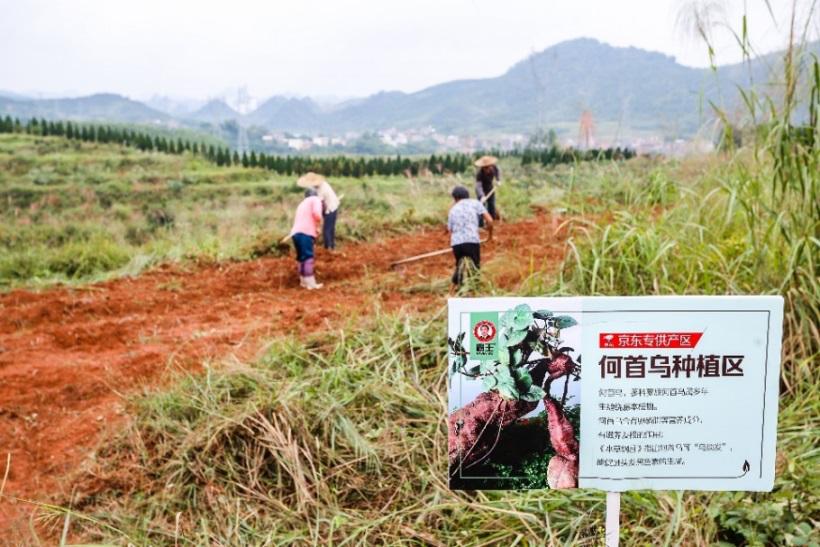 头发真的可以种出来吗,头发可以种出来揭秘植发效果