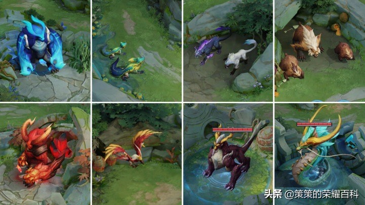 王者荣耀：国服榜一阿轲深度教学（三套连招/抓人细节/进场思路）