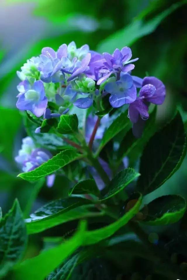 原谅我知识浅薄,原谅我知识浅薄这什么意思