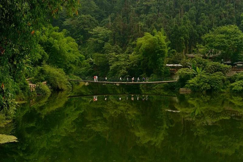 回忆成都猛追湾游泳场的历史,成都猛追湾游泳池美好回忆