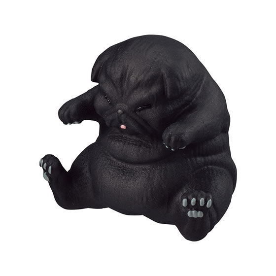 吃太饱的动物胖到站不起来!圆肚肚摆桌上督促你快减肥