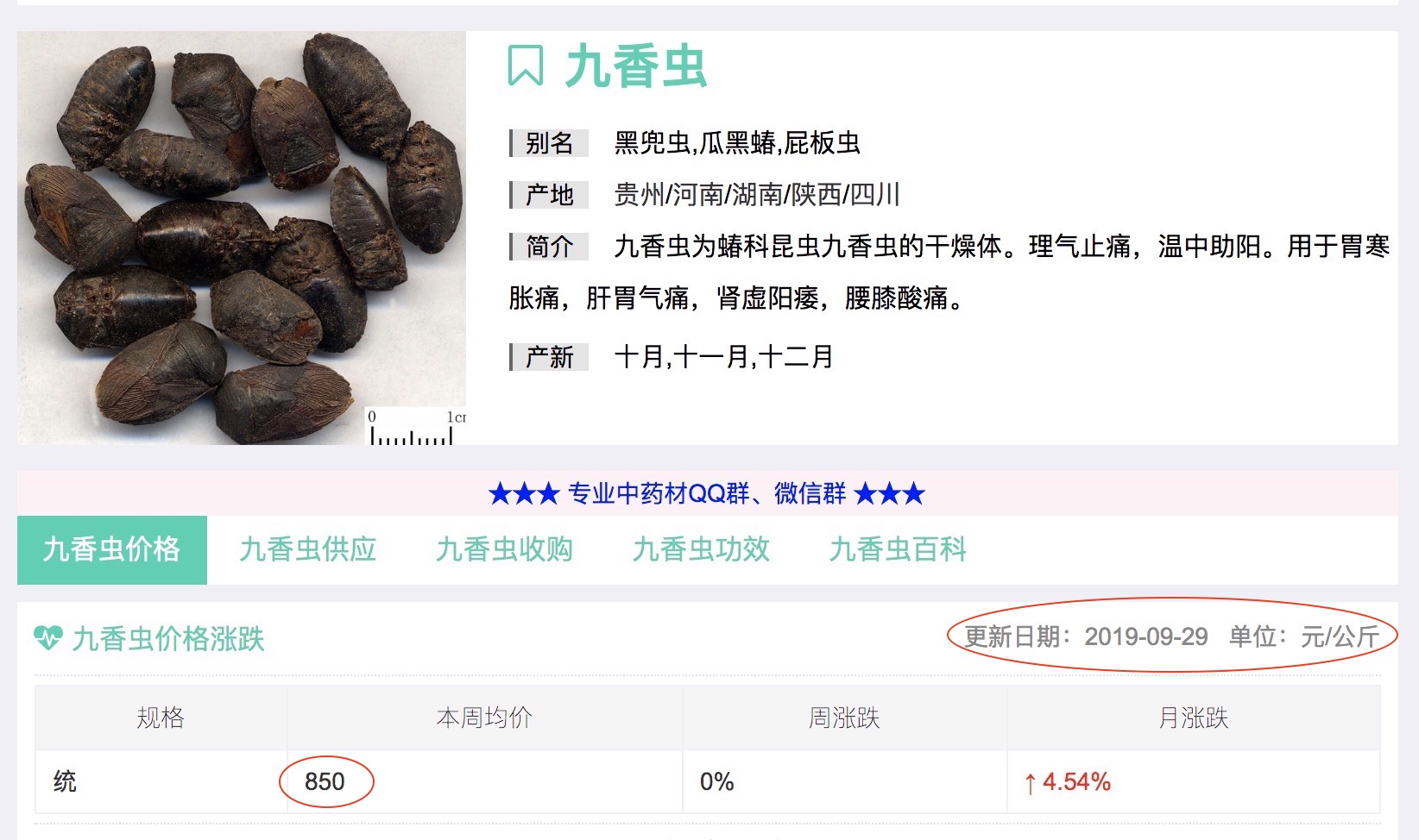 打屁虫可食用出售,农村臭屁虫有什么用途