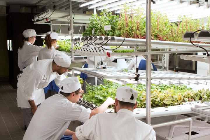 全国著名厨师学校排名,世界著名的厨师学校