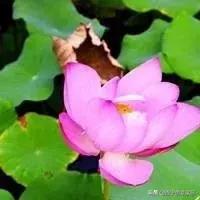 装修房子工人走了要关水电,装修装到一半没有钱装修了怎么办