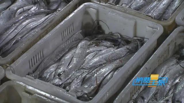 三亚海鲜市场皮皮虾多少钱一斤,海鲜市场上的皮皮虾