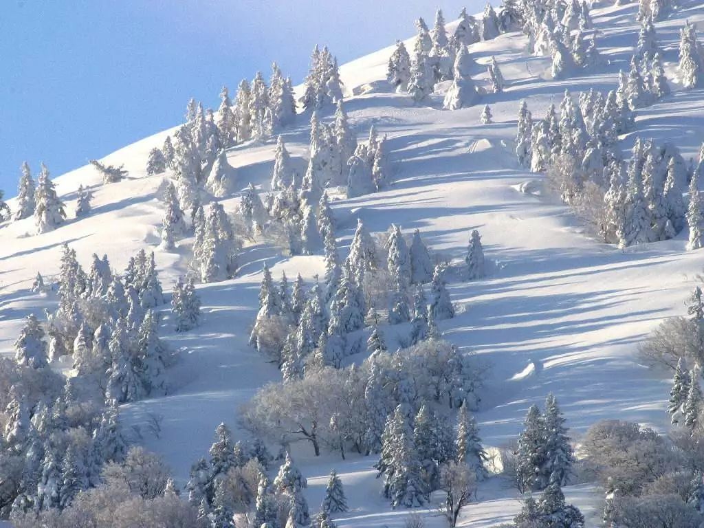 孤独星球最佳旅行城市排名,孤独星球排名第一亚洲最佳旅行地