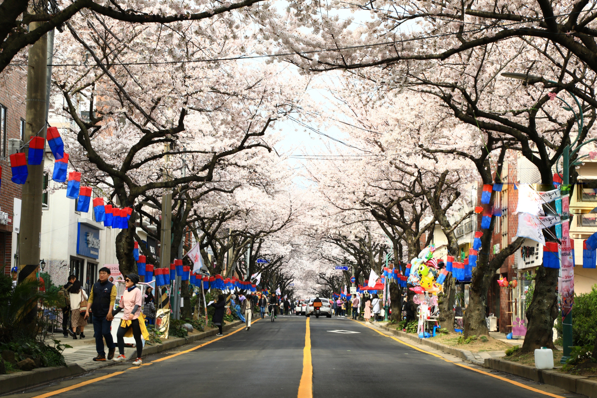 韩国济州岛讲解,济州岛是个怎样的地方